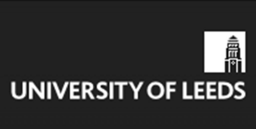The Leeds MBA programme